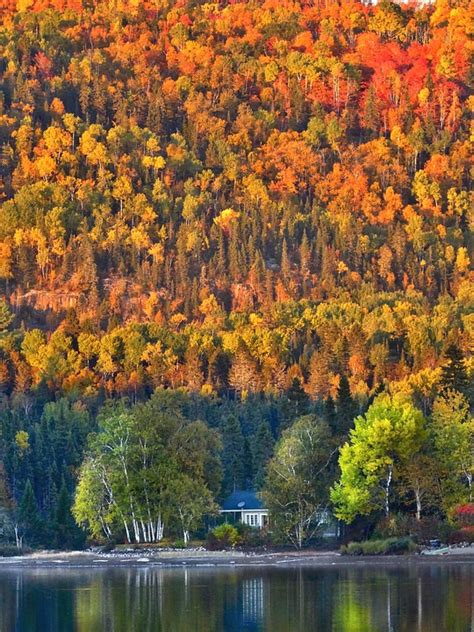 秋天的风景 自然 秋叶 - Pixabay上的免费照片 - Pixabay