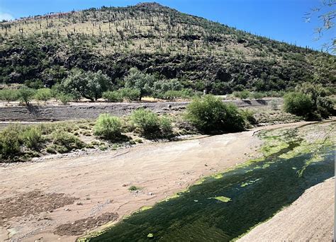 - The Tucson Presidio Museum