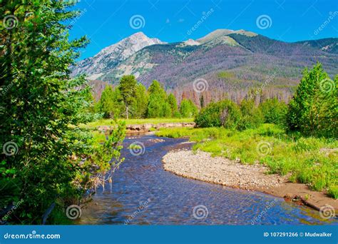 Coyote Valley Headwaters stock photo. Image of easy - 107291266