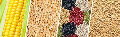 Comprehensive Guide to Cultivating Different Crops...!!! - Smart Locus
