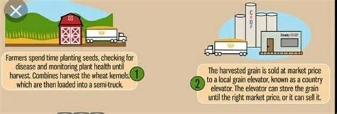 Draw a timeline, with pictures to show how food and farming have ...