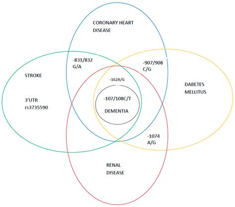 The Relevance of Noncoding DNA Variations of Paraoxonase Gene Cluster ...