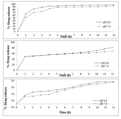 In vitro dissolution studies