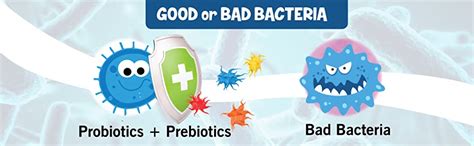 Neuherbs Advanced Probiotics Supplement With Added Prebiotics - 60 Veg ...