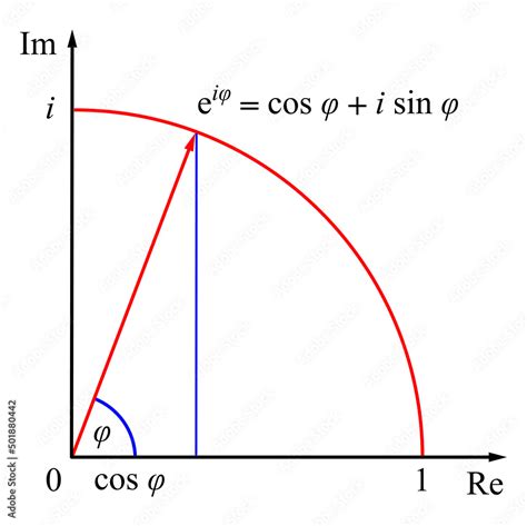 Euler's Formula Explained 的图像结果