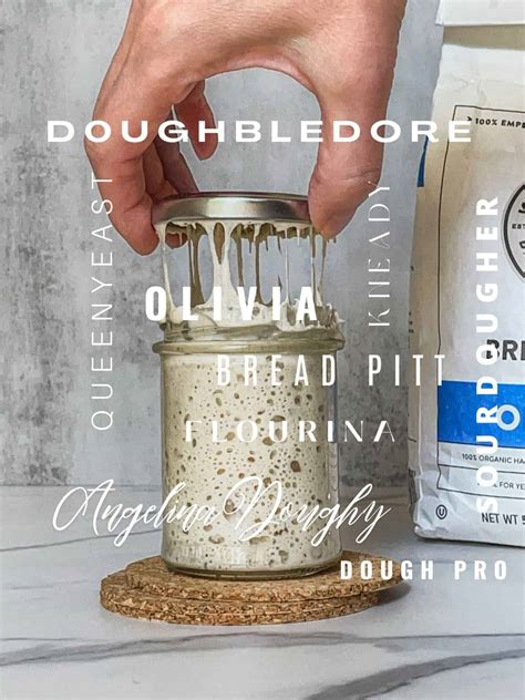 260+ Sourdough Starter Names You'll Love to Talk To Every Day ...