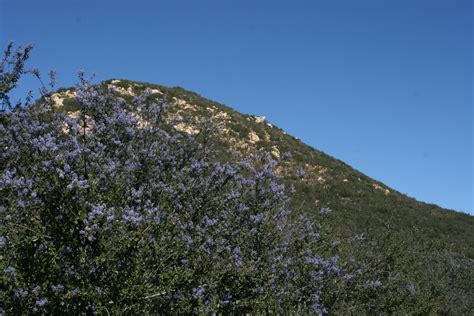 Crumbs From The Toaster: Snow in San Diego: The Iron Mountain Hike.