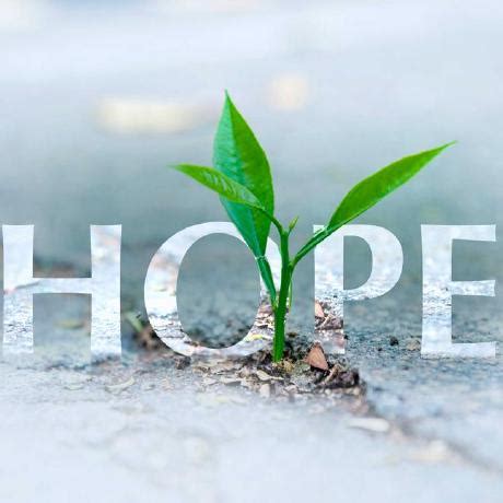 SudoHopeX 🥷🚩🇮🇳