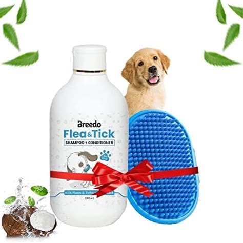 Buy Breedo Dog Need (Combo of 2) Flea and Tick Shampoo Plus Conditioner ...