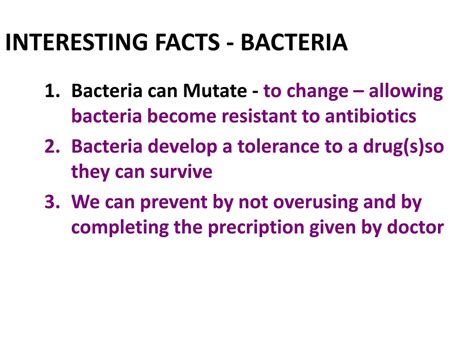 PPT - Exploring Bacteria: Characteristics, Shapes, Reproduction, and ...