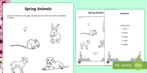 Spring Measuring Animals Activity