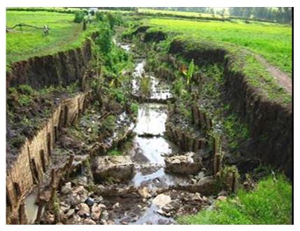 Agriculture in GOODU: AEG-101-Class-5 : Gully classification and ...