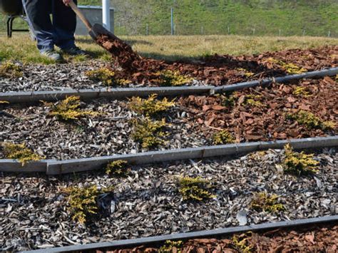 Mulch Delivery And Installation at Thomas Gabaldon blog