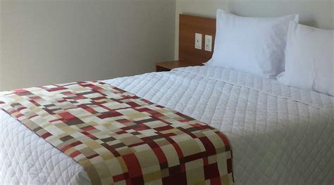 AQUARENA SUITES (Salvador) - Inn Reviews, Photos, Rate Comparison ...