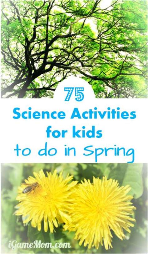 Image result for Spring Science Activities