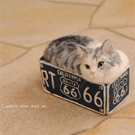 Image result for Wool Animals