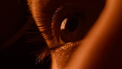 Image result for Define Intensity