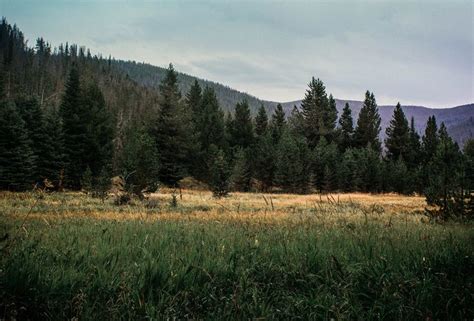 Are Montana Forest Service Campgrounds Open