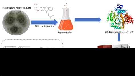 Enhanced Production, Purification, and Characterization of α ...
