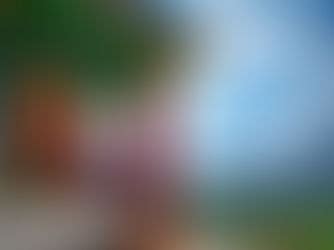 Image result for The Rights of Woman Olympe De Gouges