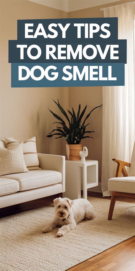 How to Get Rid of Dog Smell from Your House 🏡 - Simple Tricks for a ...