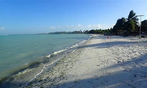 Kiritimati Tourism (2023): Best of Kiritimati - Tripadvisor