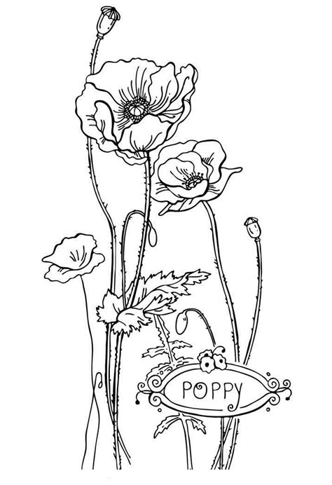 Poppy Coloring Pages