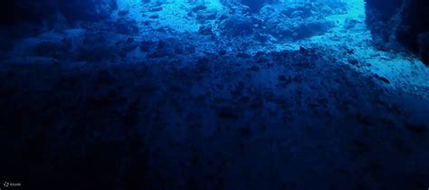 Enjoy the Adventure of 2 Fun Dives in Blue Cathedral, Mindanao with ...