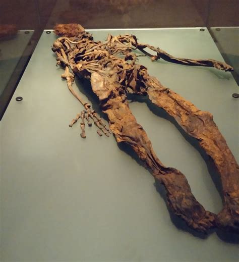 Bog Bodies: Ireland - Wistful Wanderings