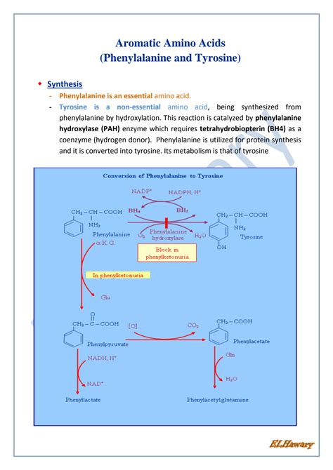 Aromatic Amino Acid