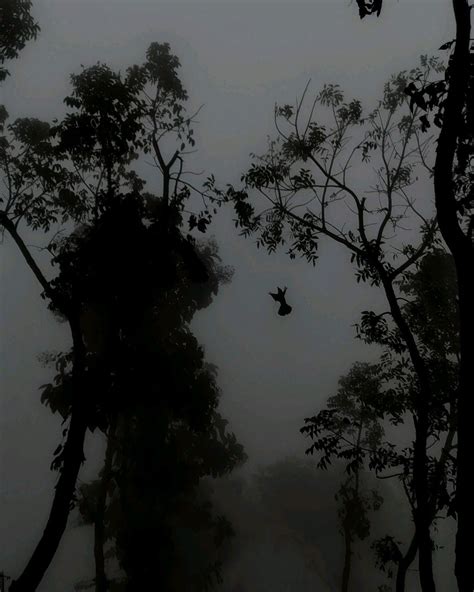 𝔞𝔩𝔢𝔵𝔦𝔞 𝔯𝔲𝔰𝔰𝔢𝔩𝔩 (@goat___spitt) • Instagram photos and videos