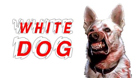 White Dog Full Free Movie 的图像结果