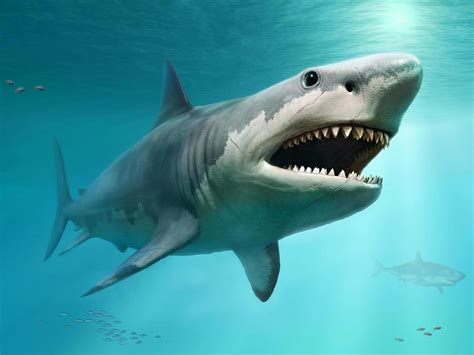 Finally Revealed: Gargantuan True Size of Legendary Prehistoric Mega-Shark Megalodon