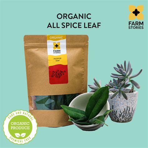 Organic All Spice Leaf - Buy online - Online Groceries – Farm Stories