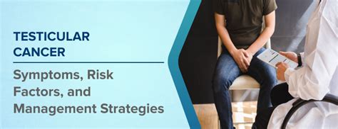 Testicular Cancer: Symptoms, Risk Factors, and Management Strategies