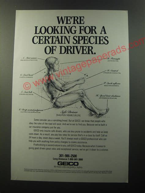 Image result for Auto Insurance Ad