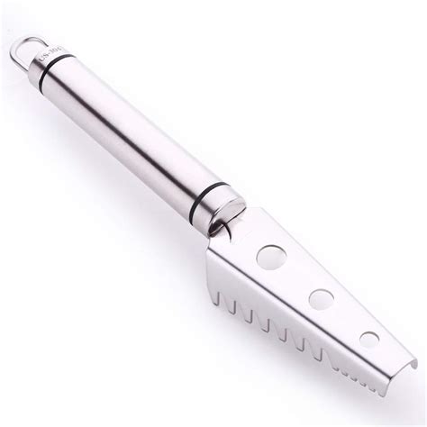 Buy Fish Scale Remover, Fish Scales Scraper with 304 Stainless Steel ...