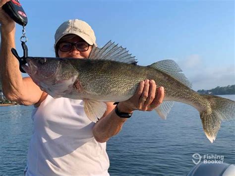 Daily Arkansas Fishing Reports (October 2024)