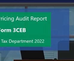 Transfer Pricing Audit Report in form 3CEB | Income Tax Department