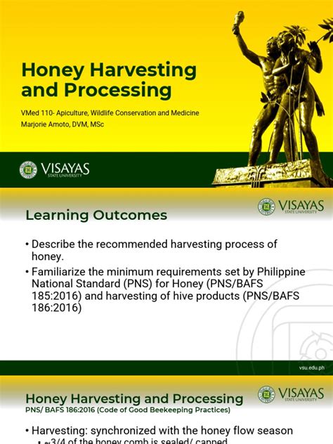 Image result for Basic Honey Processing
