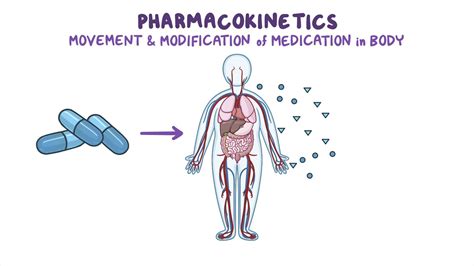 Pharmacokinetics: Drug absorption and distribution | Osmosis