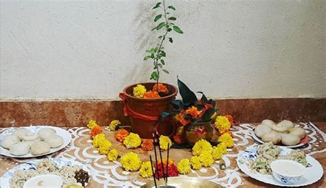 Vastu tips for Basil tulsi puja in kartik month know the best direction ...