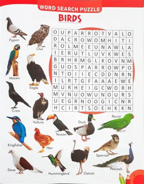 My Red Pictorial Word Search With Coloured Pictures – Books and You