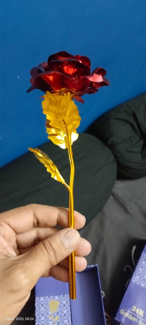 Buy Digi Collections Artificial Rose Flower with Gift Box – Perfect ...