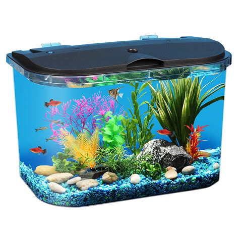A Simple Guide For Setting Up Of A 37 Gallon Aquarium - Fishxperts