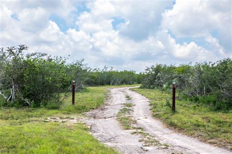 188 Salyer Rd, George West, TX 78022 | Land and Farm