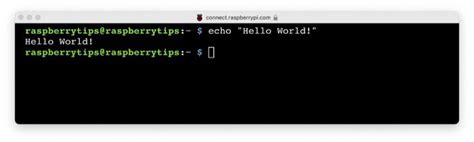 Image result for Raspberry Pi Remote Terminal