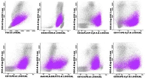 Spontaneous Remission of Blastic Plasmacytoid Dendritic Cell Neoplasm ...