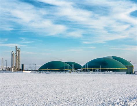 Biomethan aus Mist: Wie ein Millionenprojekt auf der Kippe steht ...