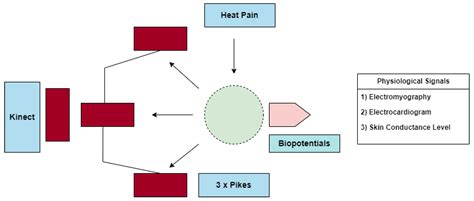ML-Based Pain Recognition Model Using Mixup Data Augmentation
